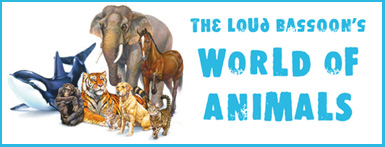 Welcome to the Loud Bassoon's World of Animals Welcome to the Loud Bassoon's World of Animals